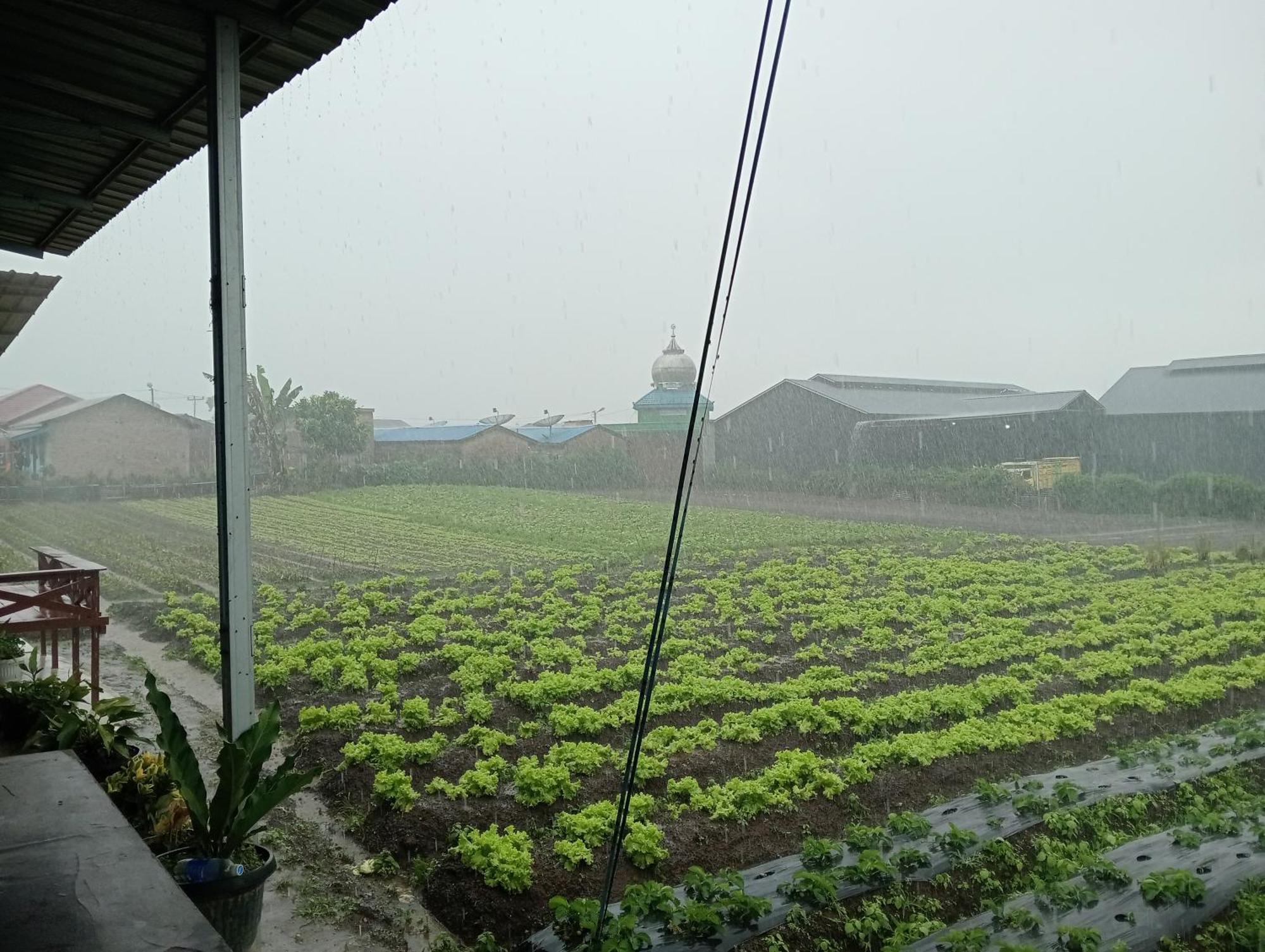 Vulkaan Homestay Berastagi Exterior foto
